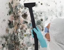 Best Residential Mold Inspection & Testing in Silver Hill, MD